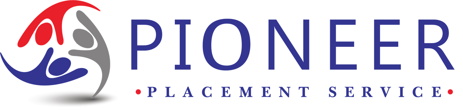 Pioneer consultants